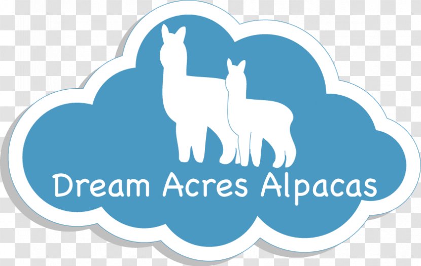 Dream Acres Alpacas Alpaca Fiber Wool Horse - Area Transparent PNG