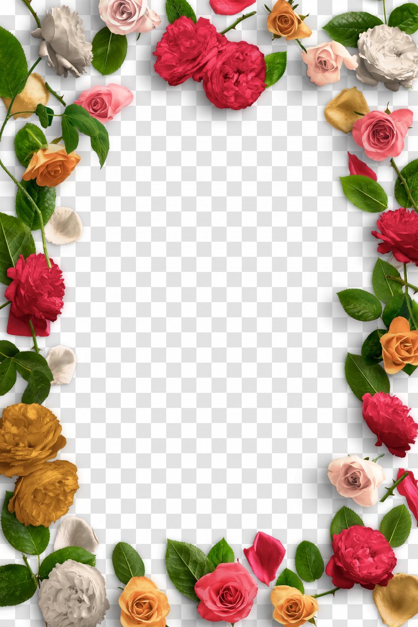 Flower Petal Clip Art - Plugin - Colorful Roses Creative Transparent PNG