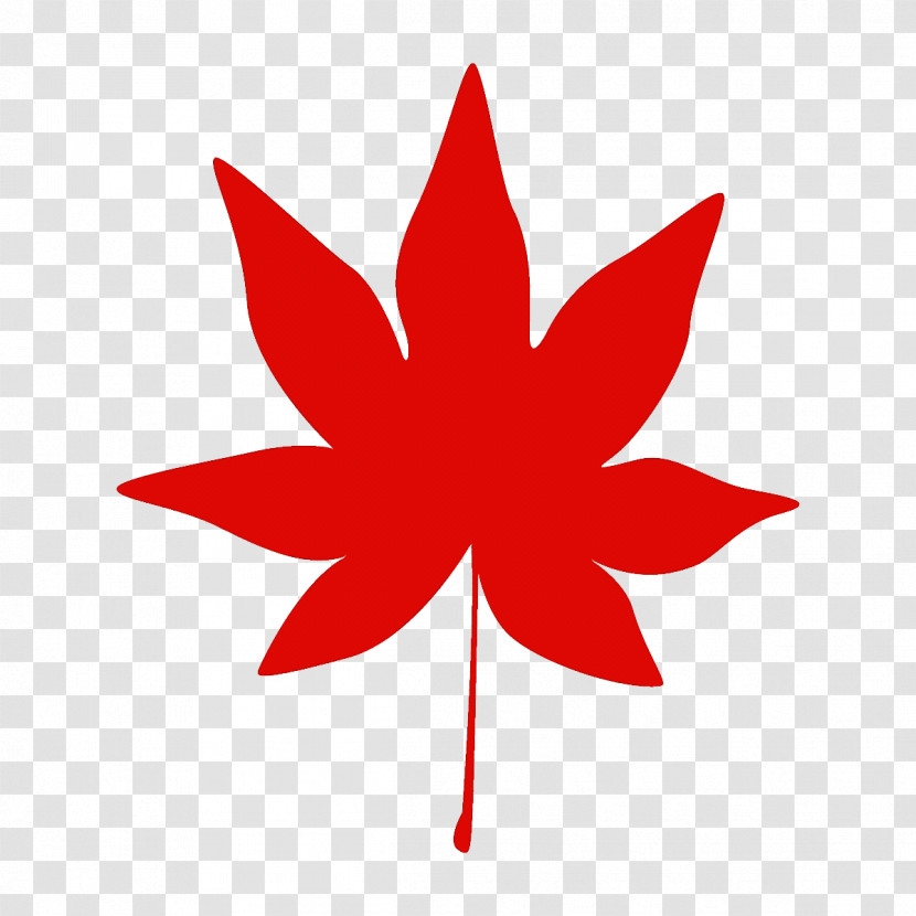 Maple Leaf Autumn Leaf Fall Leaf Transparent PNG