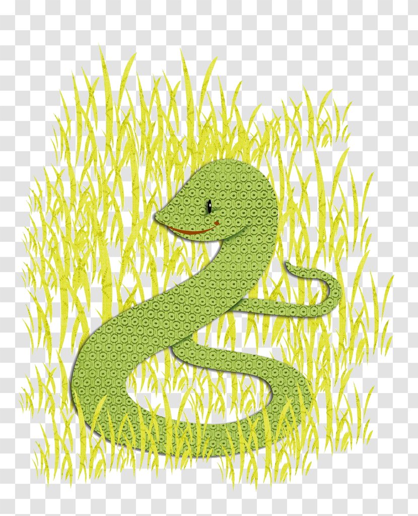 Snake Drawing Weed - Logo - A In The Grass Transparent PNG