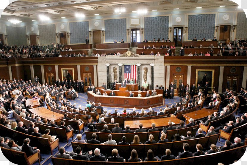 United States Congress President Of The Republican Party Senate - Audience Transparent PNG