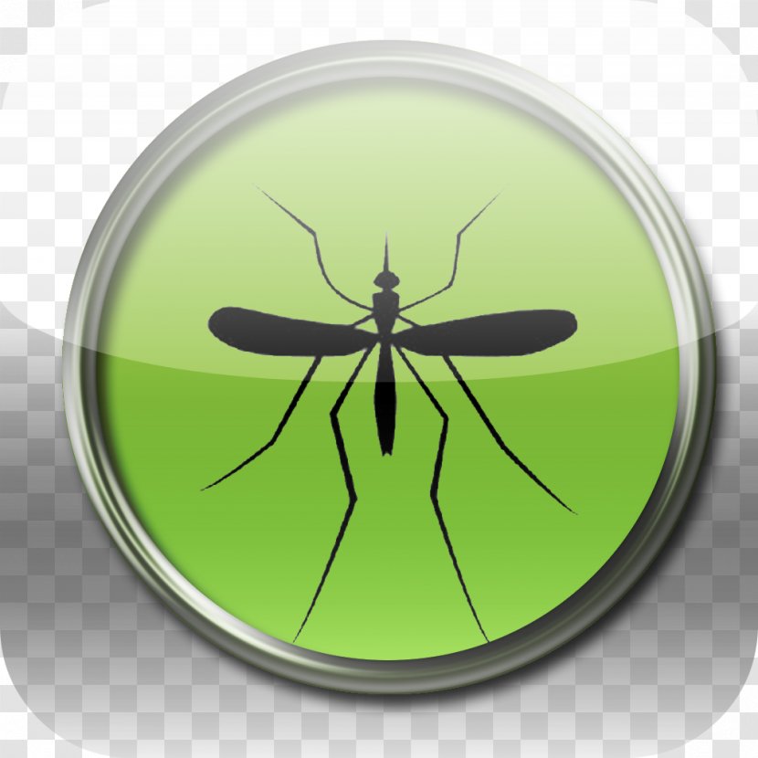 Insect Mosquito Pest Invertebrate ASEAN Declaration - Animal Transparent PNG