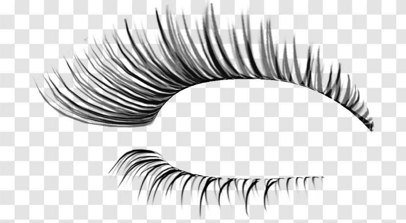 Eyelash Extensions Cosmetics Clip Art - Tree - 3 D Transparent PNG