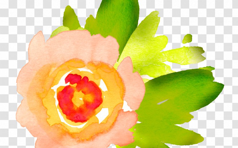 Clip Art Watercolor Painting Watercolour Flowers Watercolor: Free Content - Flower - Knicks Sign Transparent PNG