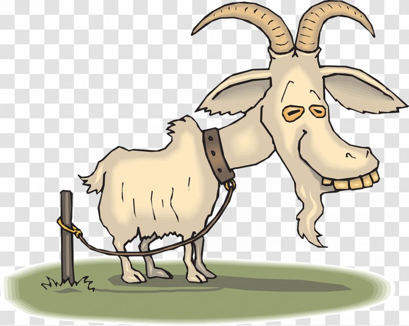 Boer Goat Angora Sheep Zazzle Clip Art - Royaltyfree - Rearing Transparent PNG