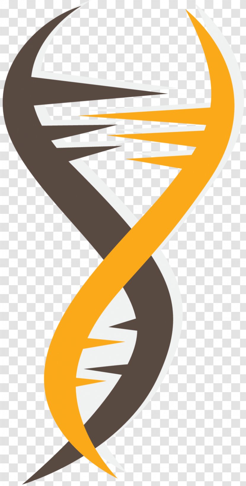 Molecular Genetics Vector Graphics Clip Art - Nucleic Acid Double Helix Transparent PNG