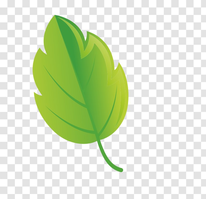 Leaf Green Plant Logo Tree - Flower Transparent PNG