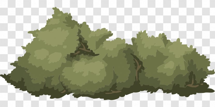 Shrub Clip Art - Grass - Bushes Transparent PNG