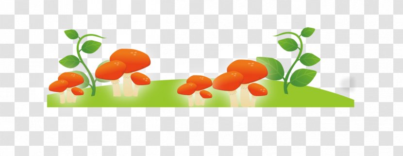 Mushroom Euclidean Vector Vine - Fruit - Grass Material Transparent PNG