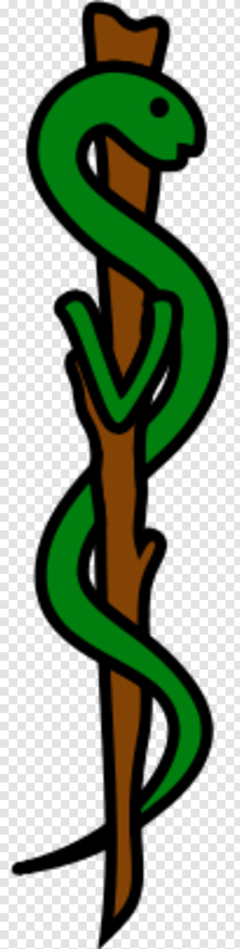 Rod Of Asclepius Veterinary Medicine Strangeways' Anatomy Symbol - Art Transparent PNG