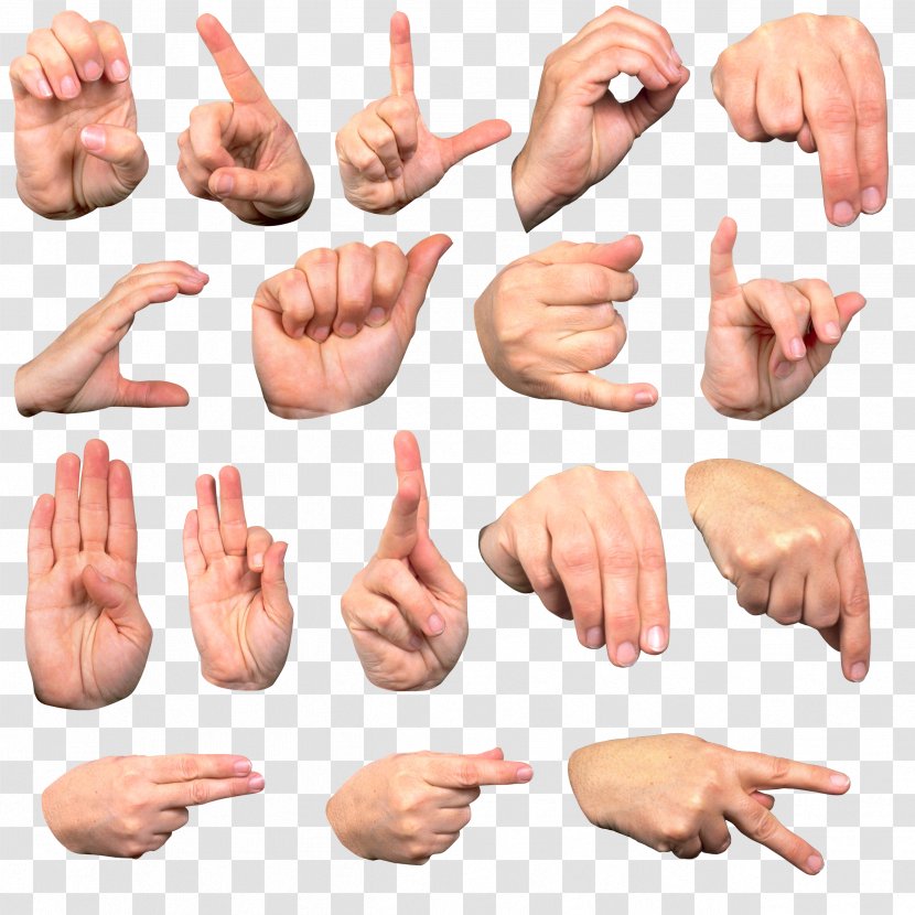 Sign Language Hand Body Cross-cultural Communication - Intercultural Transparent PNG