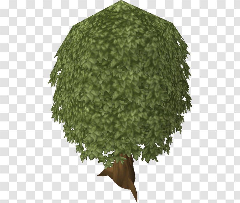 Tree Oak RuneScape Plant Transparent PNG