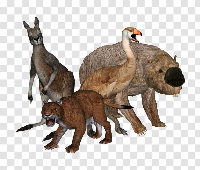 Australian Megafauna Pleistocene Holocene Extinction - Wildlife - Animals Armistice Transparent PNG
