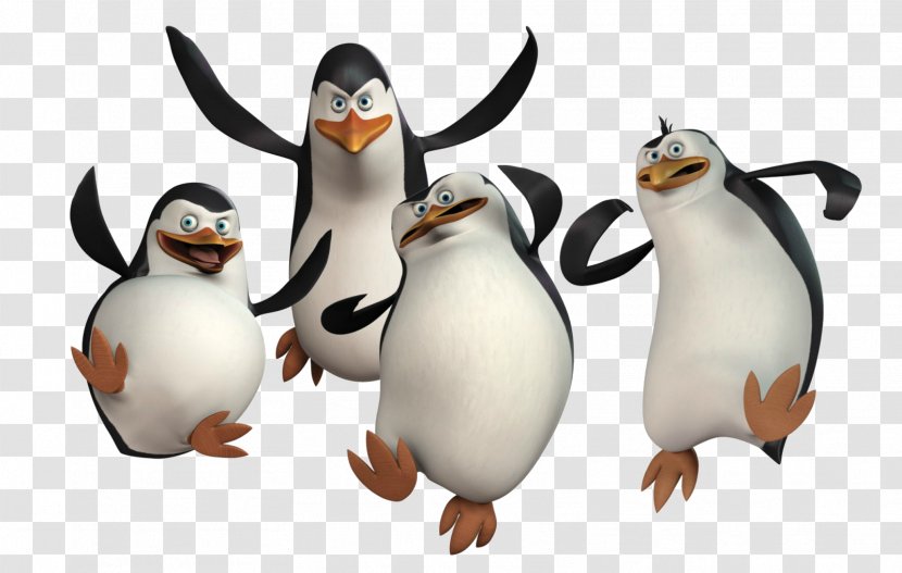 Penguin Madagascar DreamWorks Animation Desktop Wallpaper Film - Penguins Transparent PNG