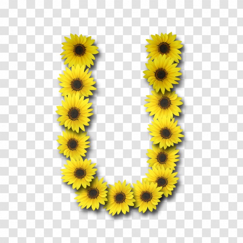 Sunflowers Instagram Letter Tagged - Sunflower Transparent PNG