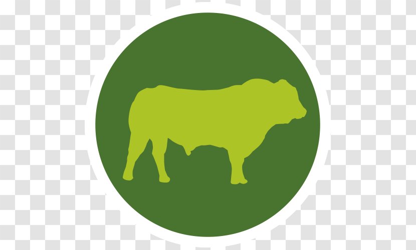 Cattle Dog Beef Bull Livestock - Bedding Transparent PNG
