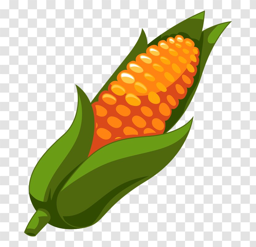 Corn On The Cob Vector Graphics Image Clip Art - Commodity - Ears Of Transparent PNG