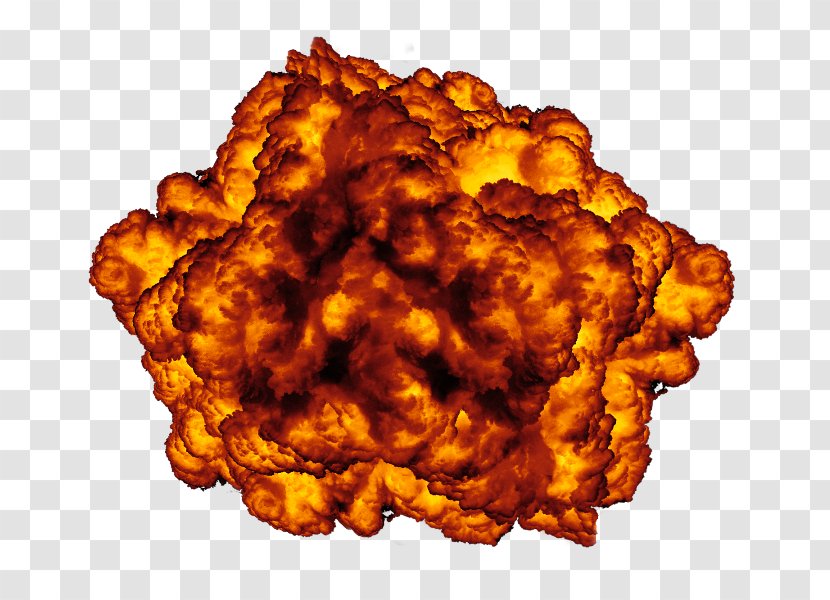 Explosion - Bomb - Fried Food Transparent PNG