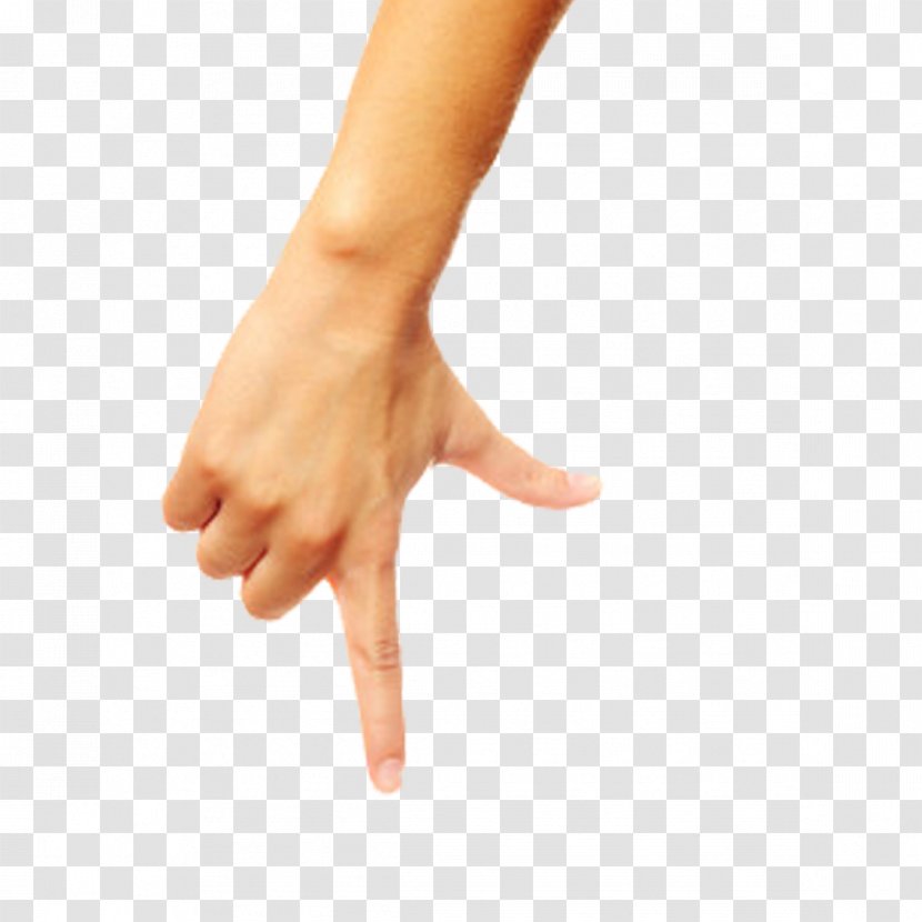 Hand Finger Man Arm - Model - Man's Transparent PNG