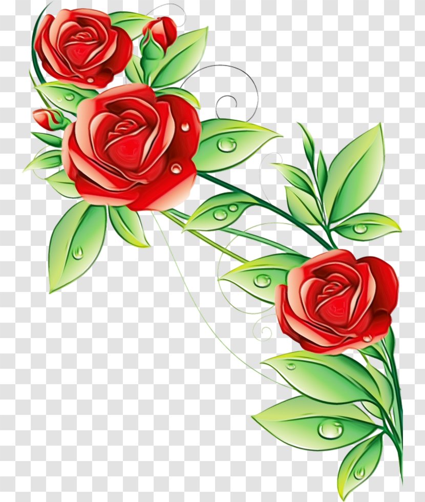 Garden Roses Wallpaper Mural Living Room Flower - Camellia Transparent PNG