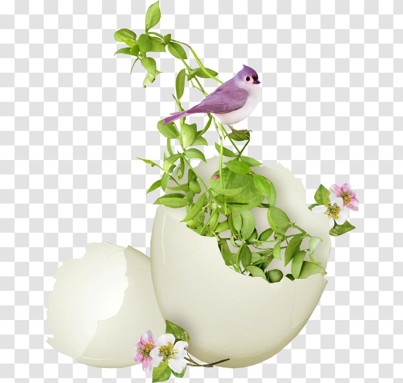 Easter Egg Christmas Party - Floristry - Frame Transparent PNG