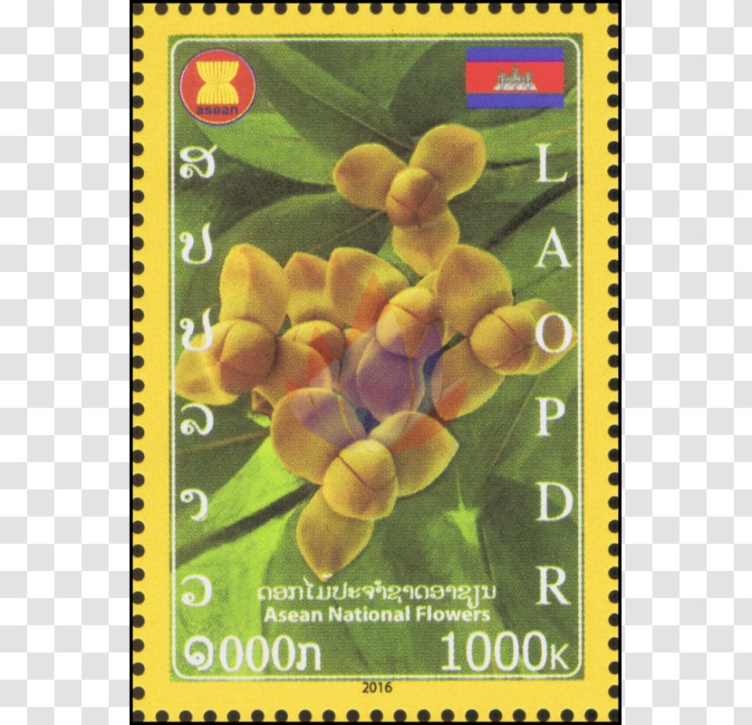 Fruit Flower - Flora - ASEAN Transparent PNG