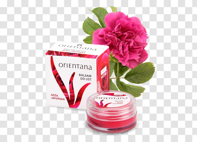 Lip Balm Cosmetics Balsam Do Ciała Shea Butter - Cut Flowers - Face Transparent PNG