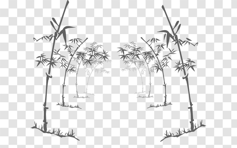 Bamboo - Monochrome Photography - Vector Transparent PNG