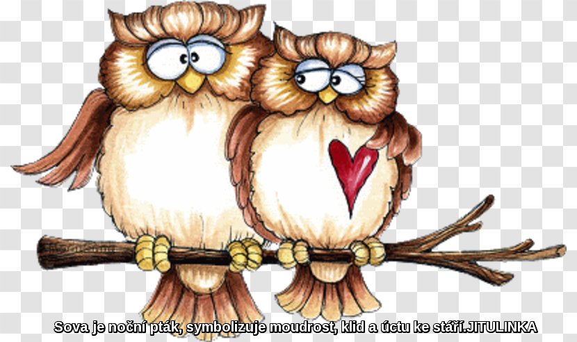 Owl Bird Art Clip - Valentine S Day Transparent PNG