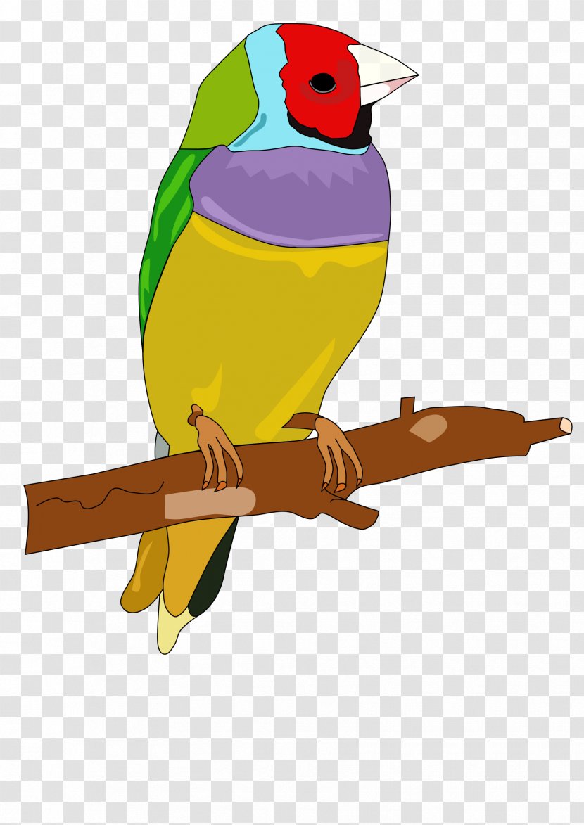Bird Owl Parrot Clip Art - Fauna - Toy Cliparts Transparent PNG