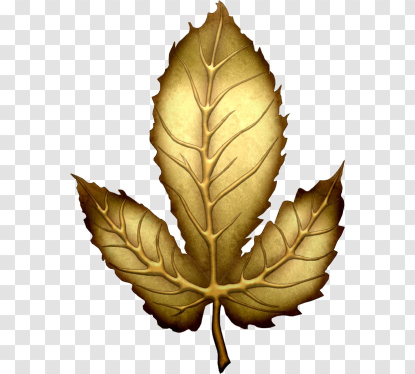 Leaf Gold Clip Art - Widescreen Transparent PNG