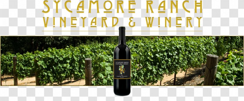 Sycamore Ranch Vineyard & Winery Common Grape Vine Winemaker - Plantation - Wine Transparent PNG