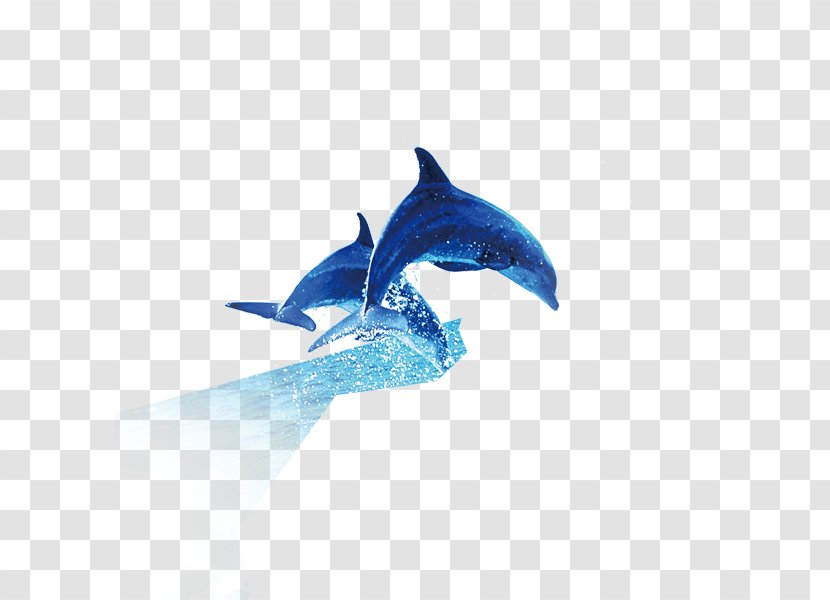 Common Bottlenose Dolphin Killer Whale - Electric Blue Transparent PNG