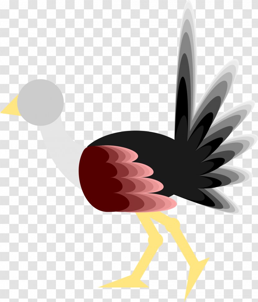 Bird Common Ostrich Windows Metafile Clip Art - Byte Transparent PNG