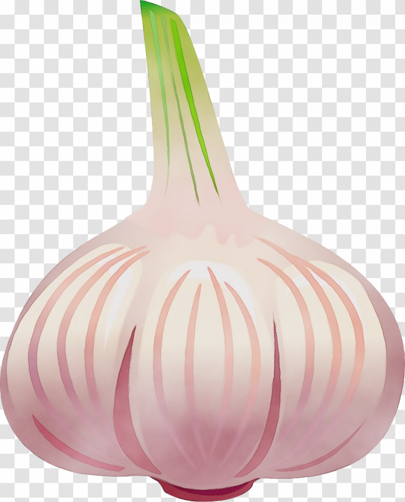 Pink M Vase Transparent PNG