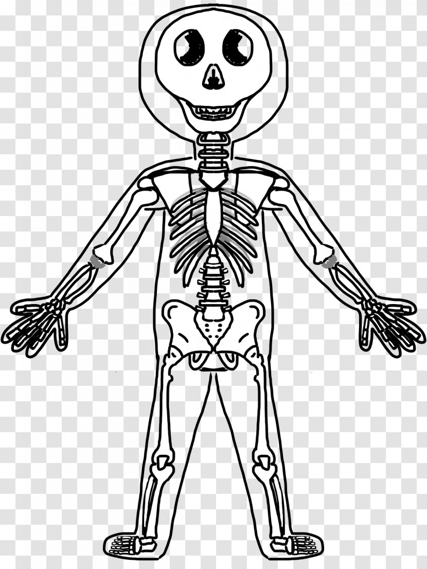 Human Skeleton Body Anatomy Muscle - Silhouette - Fun Cliparts Transparent PNG