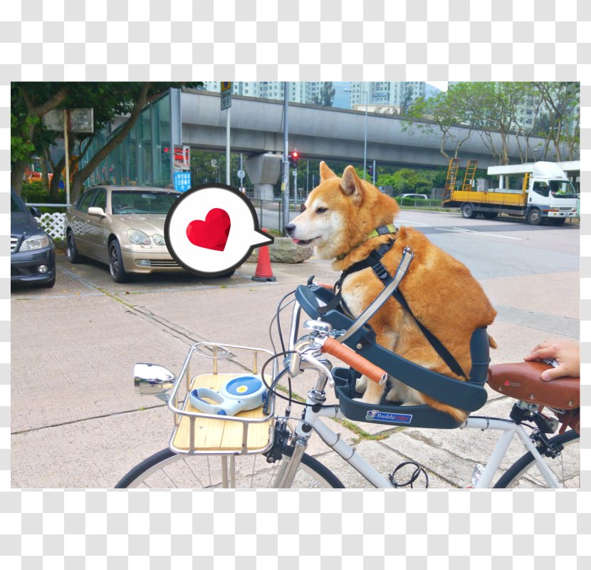 Dog Breed Shiba Inu Bicycle Seat Leash - Comfort Transparent PNG