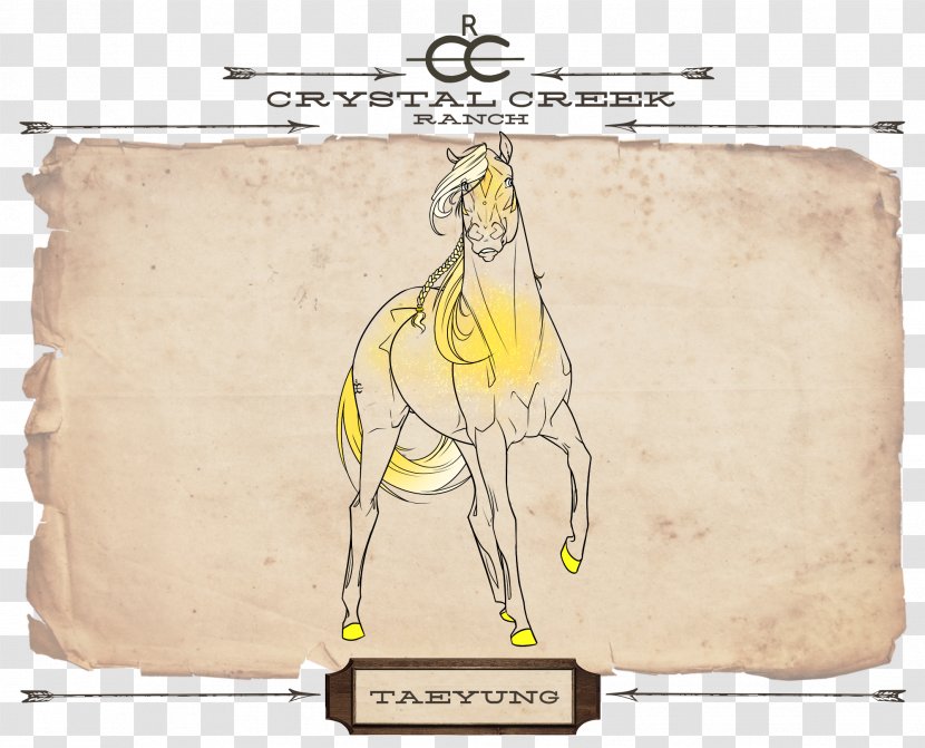 Black Desert Online Horse Game Giraffe Internet Forum - Camel Transparent PNG