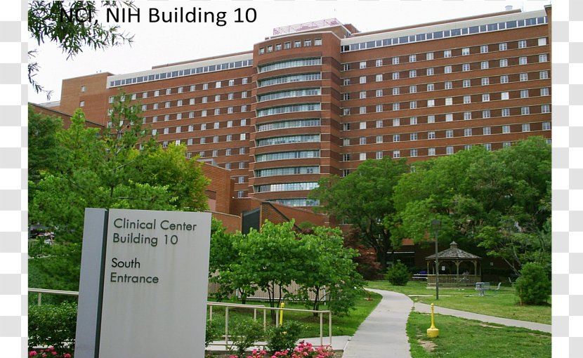 National Institutes Of Health Clinical Center NIH Medicine - Nih Transparent PNG