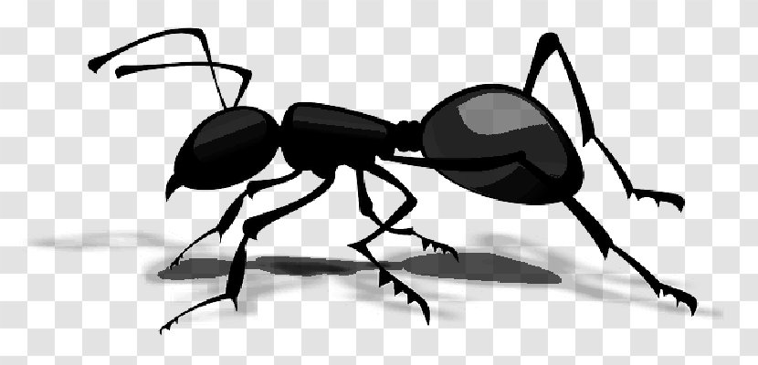 Atom Ant Clip Art Insect - Emmet Background Transparent PNG