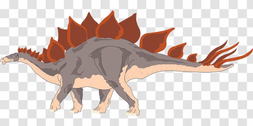 Velociraptor Stegosaurus Tyrannosaurus Triceratops Heterodontosaurus - Mythical Creature - Dinosaur Transparent PNG