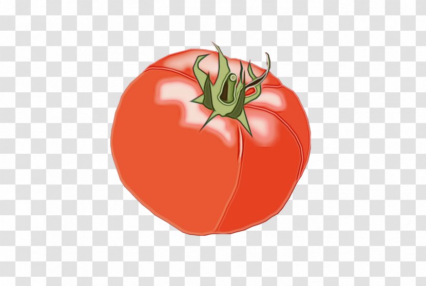 Tomato Cartoon - Diet Food - Superfood Vegetarian Transparent PNG