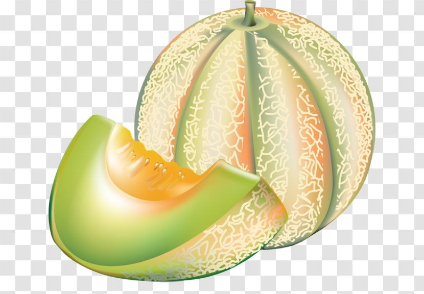 Honeydew Cantaloupe Watermelon Clip Art - Winter Squash - Melon Cliparts Transparent PNG