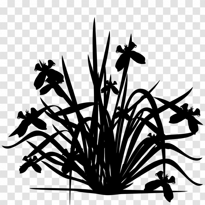 Black & White - Plant Stem - M Clip Art Flower Leaf Transparent PNG