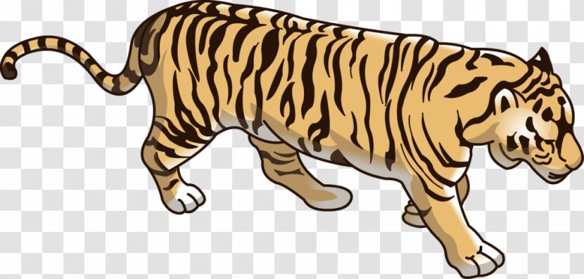 Tiger Lion Dog Wildcat Basabizitza - Cat Like Mammal - Beautiful Transparent PNG