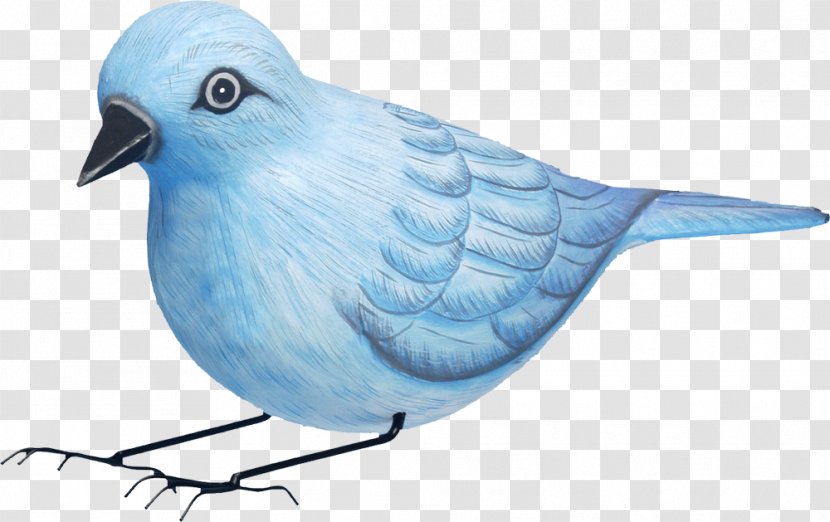 Sparrow Songbird Western Bluebird Nest Box - Blue - Creative Hand-painted Transparent PNG