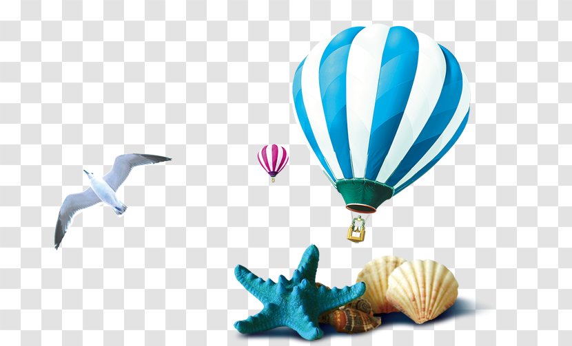 Seashell Download - Conch Shells Balloon Seagull Transparent PNG