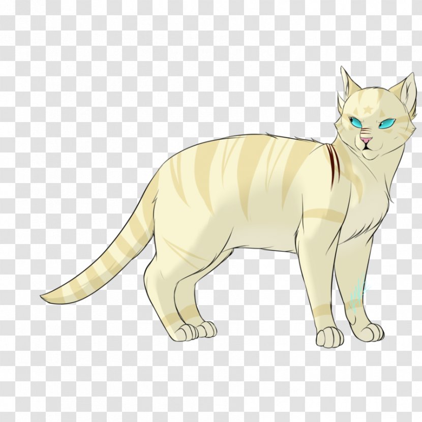 Whiskers Kitten Domestic Short-haired Cat Wildcat Transparent PNG