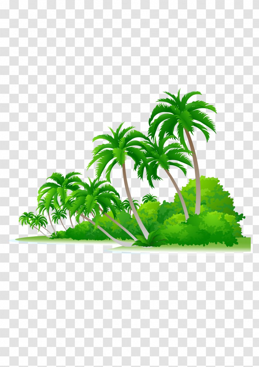 Arecaceae Euclidean Vector Tree Illustration - Flowering Plant - Palm Beach Transparent PNG