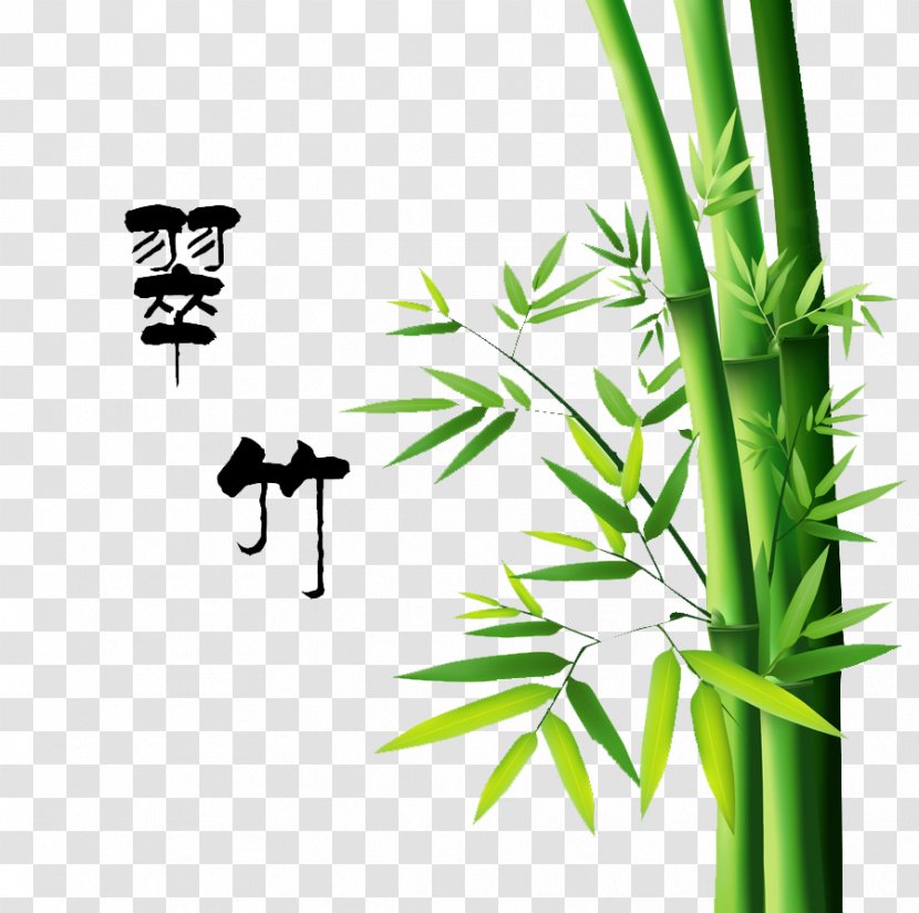 Bamboo Painting Drawing - Branch Transparent PNG
